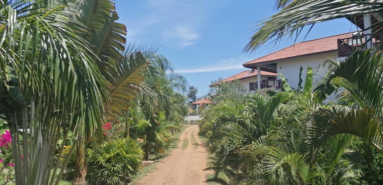Ladja Beach Resort Ambalantota Eksteriør billede